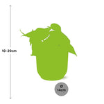 Load image into Gallery viewer, Philodendron scandens in ELHO Vibes Fold, Yellow, - Ø14cm ↕15cm
