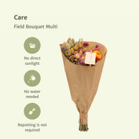 Fiori Secchi – Bouquet da Campo – Set da 8 – Ø20 cm - ↕50 cm