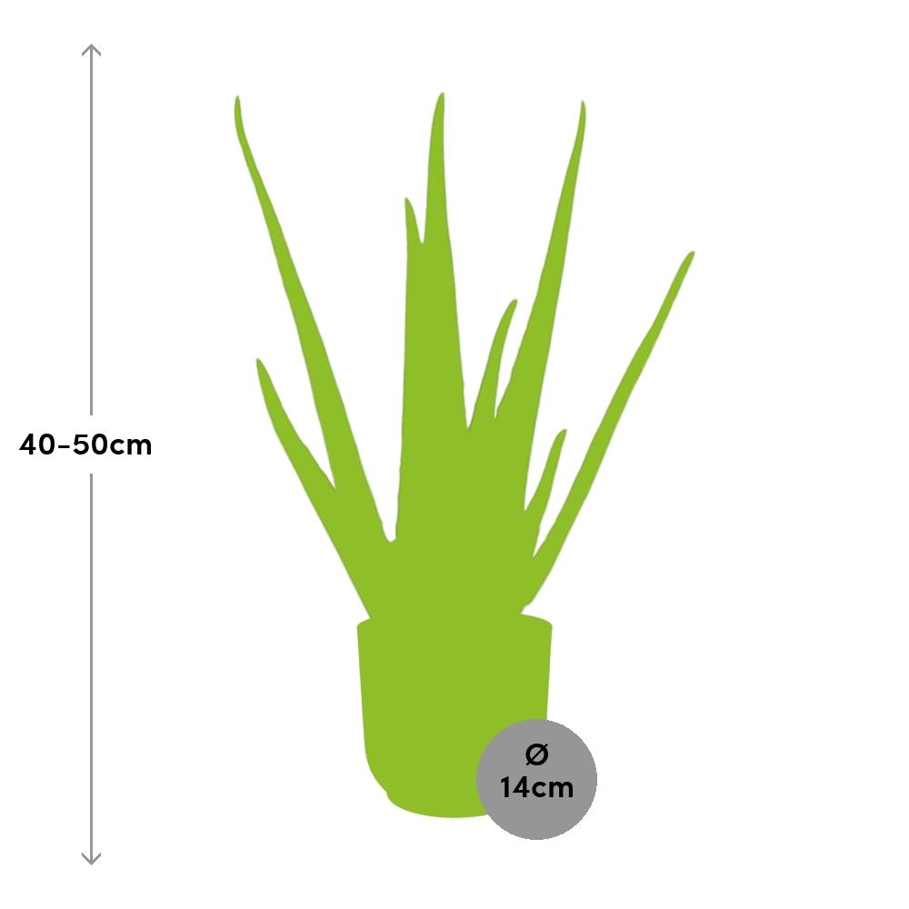 Aloe vera in ELHO Vibes Fold pot, Yellow, Ø14cm - ↕45cm