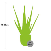 Aloe vera in ELHO Vibes Fold pot, Yellow, Ø14cm - ↕45cm