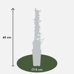 Load image into Gallery viewer, Pyracantha &#39;Soleil d&#39;Or&#39; - 3 pieces - ↨65cm - Ø15
