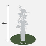 Load image into Gallery viewer, Rosa mix - 3 pieces - ↨65cm - Ø15
