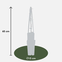 Clematis 'Jackmanii' - Ø15cm - ↕65cm