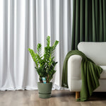 Load image into Gallery viewer, Zamioculcas zamiifolia - Ø21cm - ↕100cm