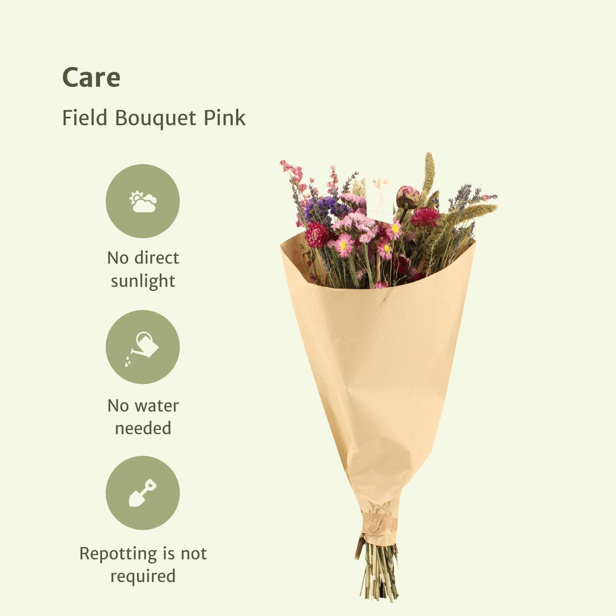 Fiori Secchi – Bouquet da Campo Rosa – Set da 10 – Ø20 cm - ↕50 cm