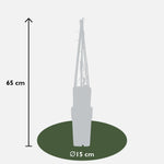 Load image into Gallery viewer, Parthenocissus q. var. &#39;Engelmannii&#39; - 3 plants - Ø15 - ↨65cm
