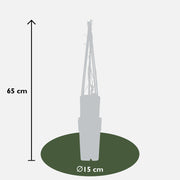Parthenocissus q. var. 'Engelmannii' - 3 plants - Ø15 - ↨65cm