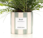 Load image into Gallery viewer, Nephrolepis Green Lady Gift "Breath" WITH GREETING CARD! - Ø12cm - ↕35cm