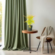 Acer palmatum 'Orange Dream' - Ø19cm - ↕50cm