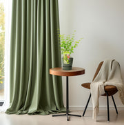 Acer palmatum 'Going Green' - Ø19cm - ↕50cm