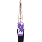 Load image into Gallery viewer, Clematis &#39;Jackmanii&#39; - Ø15cm - ↕65cm
