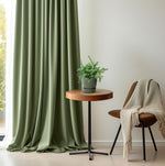 Load image into Gallery viewer, Phlebodium aureum 'Blue Star' - Ø12cm - ↕35cm