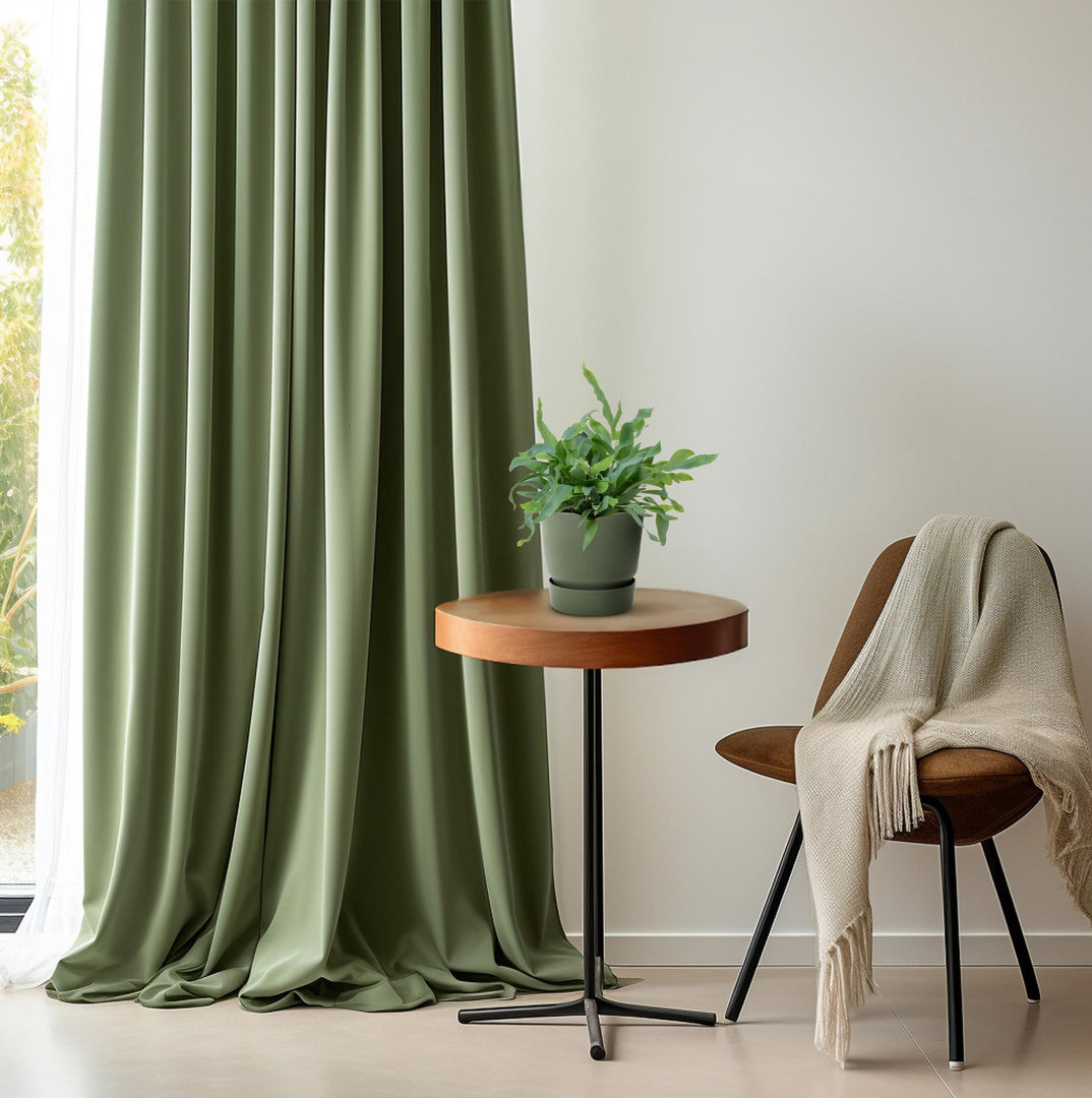 Phlebodium aureum 'Blue Star' - Ø12cm - ↕35cm