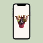 Load image into Gallery viewer, Sarracenia purpurea venosa - Ø12cm - ↕20cm