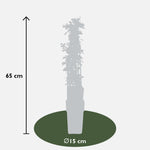 Load image into Gallery viewer, Pyracantha &#39;Orange Glow&#39; - ↨65cm - Ø15
