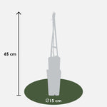 Load image into Gallery viewer, Aristolochia macrophylla - Ø15cm - ↕65cm
