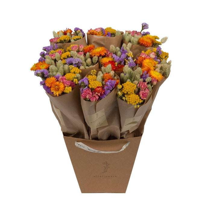 Fiori Secchi Decorativi – Set da 10 – 50 cm