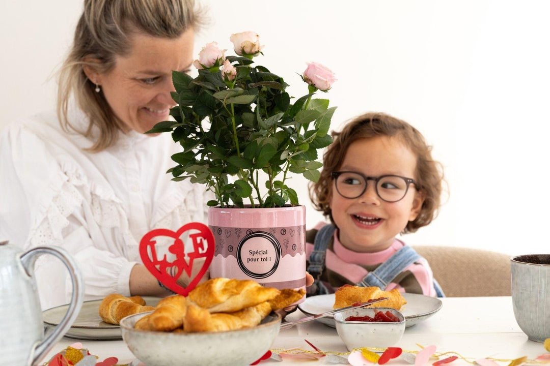 Rosa Light Pink In P&PURE "SPECIAL POUR TOI" Verpakking - Ø12cm - ↕30cm