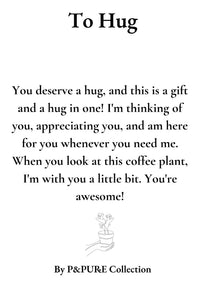 Coffea Arabica Gift "To Hug" WITH GREETING CARD! - Ø12cm - ↕20cm
