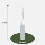 Load image into Gallery viewer, Wisteria floribunda &#39;Naga Noda&#39; - Ø15cm - ↕65cm
