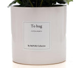 Load image into Gallery viewer, Coffea Arabica Gift "To Hug" WITH GREETING CARD! - Ø12cm - ↕20cm