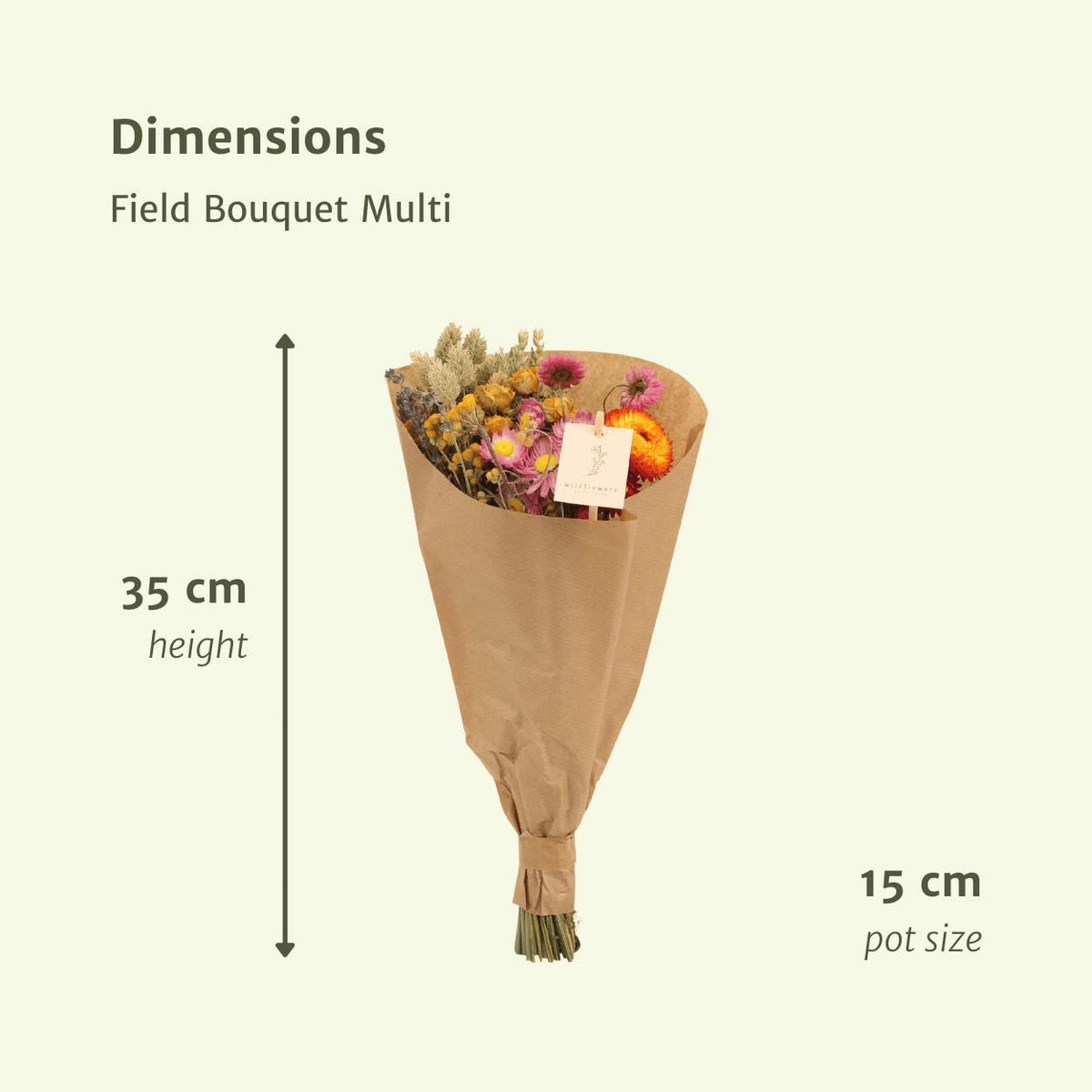 Fiori Secchi – Set di 12 Bouquet da Campo – Ø15 cm