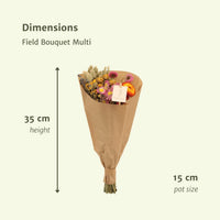 Fiori Secchi – Set di 12 Bouquet da Campo – Ø15 cm