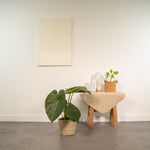 Load image into Gallery viewer, Alocasia wentii in Selin Basket - Ø19cm - ↕65cm