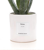 Load image into Gallery viewer, Aloe Vera Gift "Relax" WITH GREETING CARD! - Ø12cm - ↕40cm