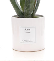 Aloe Vera Gift 