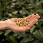 Load image into Gallery viewer, Vermiculite - 3L
